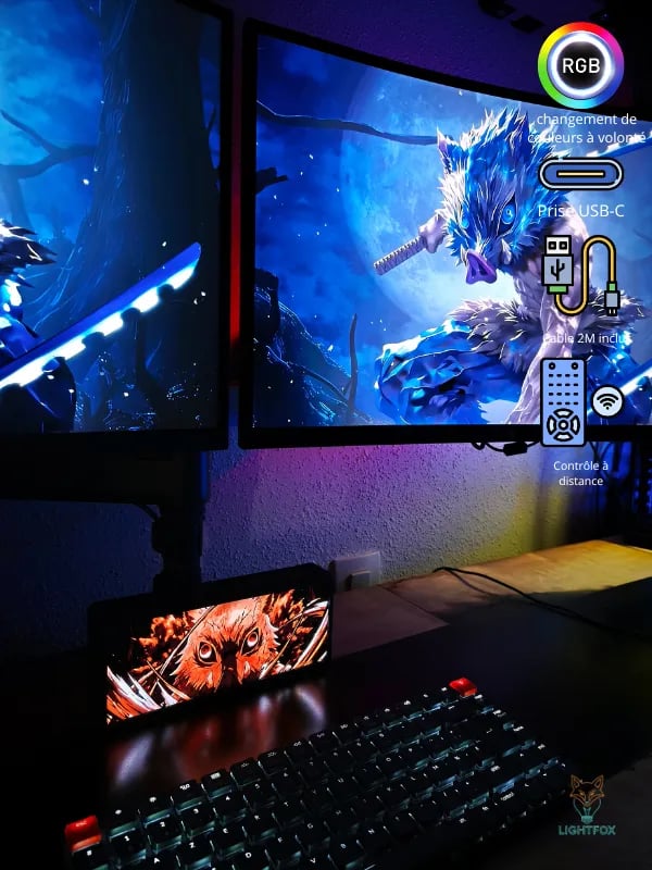 Lampe LED 3D Inosuke – Demon Slayer RGB | Lightfox
