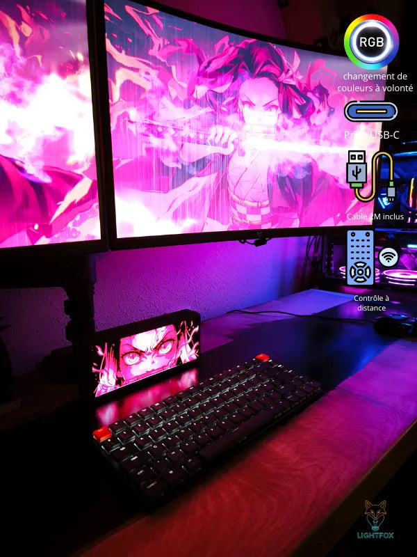 Lampe LED 3D Nezuko — Décoration Gaming RGB | Lightfox